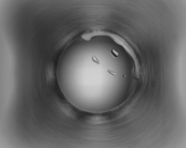 X0000114150212200910081339