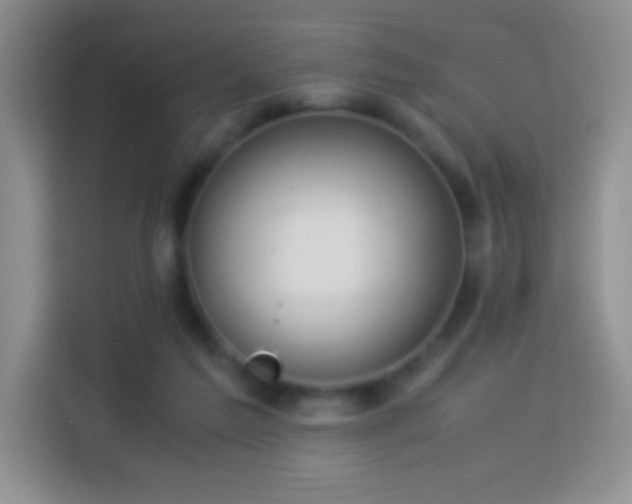 X0000114150213200910081339