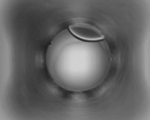 X0000114150215200910081339