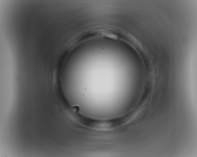 X0000114150217200910081339