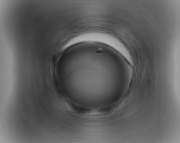 X0000114150219200910081339
