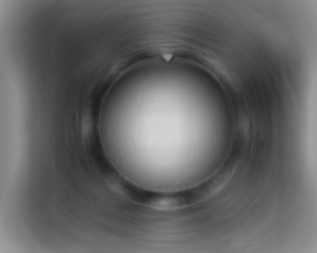 X0000114150220200910081339