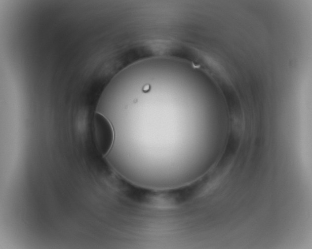 X0000114150221200910081339