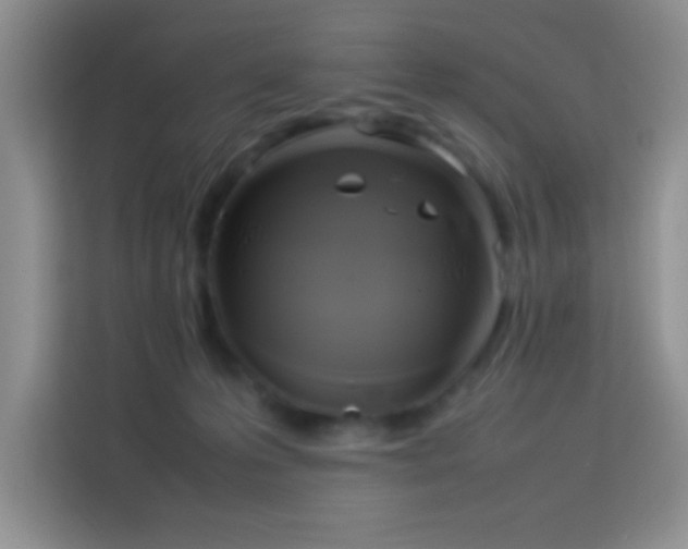 X0000114150223200910081339