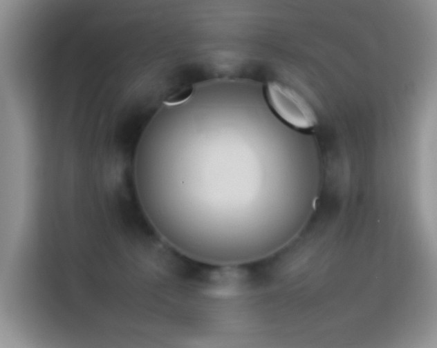 X0000114150225200910081339