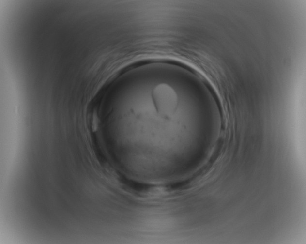 X0000114150227200910081339