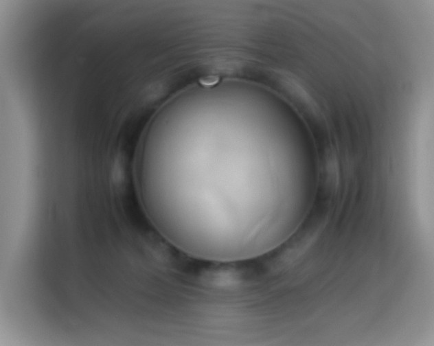 X0000114150228200910081339
