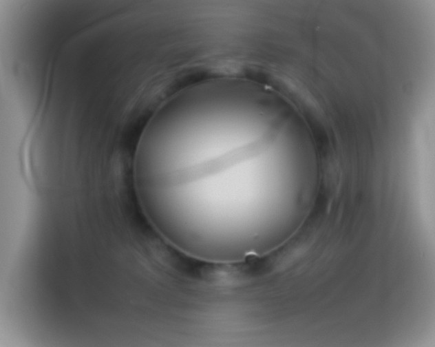 X0000114150229200910081339