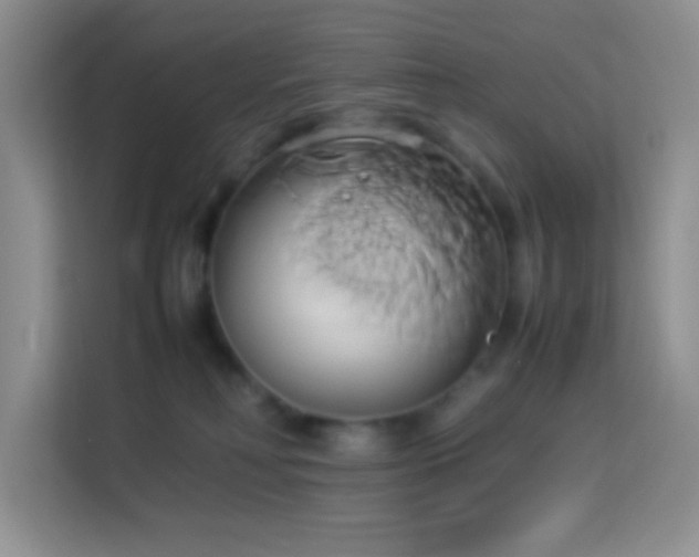 X0000114150230200910081339