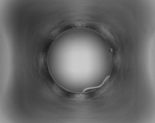 X0000114150233200910081339