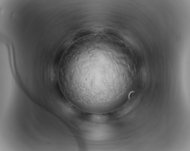 X0000114150234200910081339