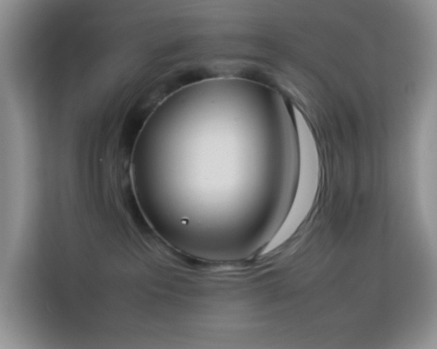 X0000114150237200910081339