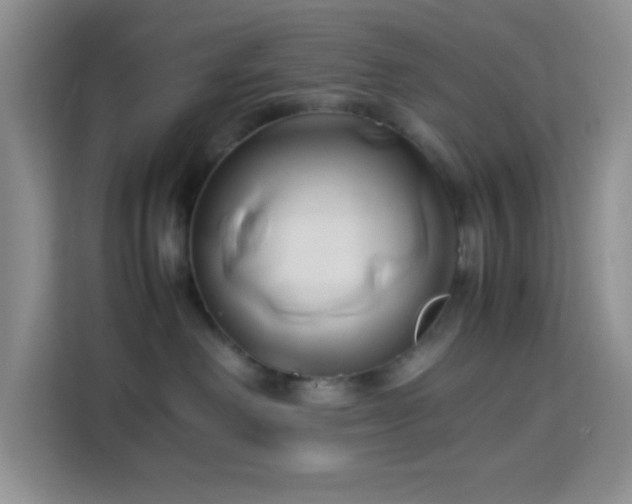 X0000114150238200910081339
