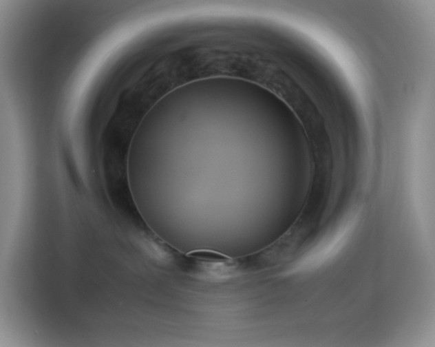 X0000114150239200910081339