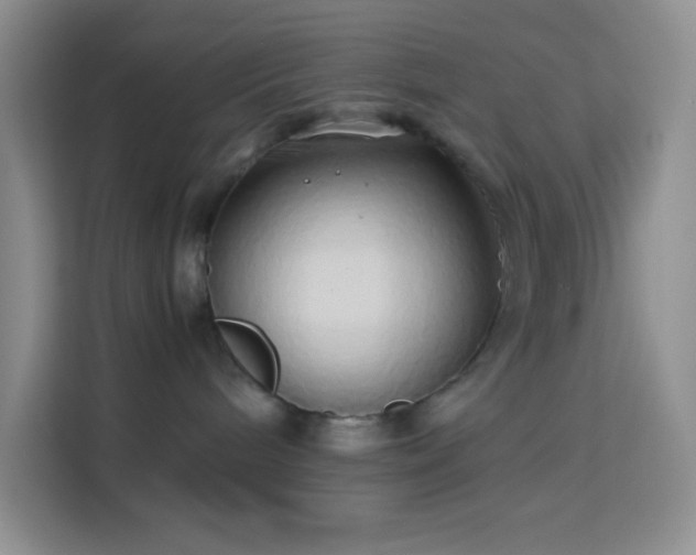 X0000114150240200910081339