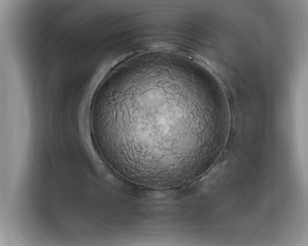 X0000114150241200910081338