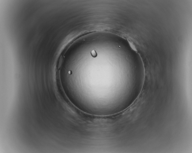 X0000114150242200910081338