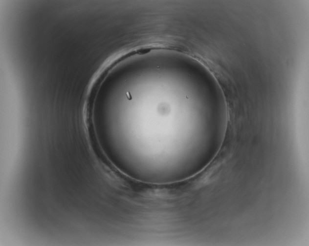 X0000114150244200910081338