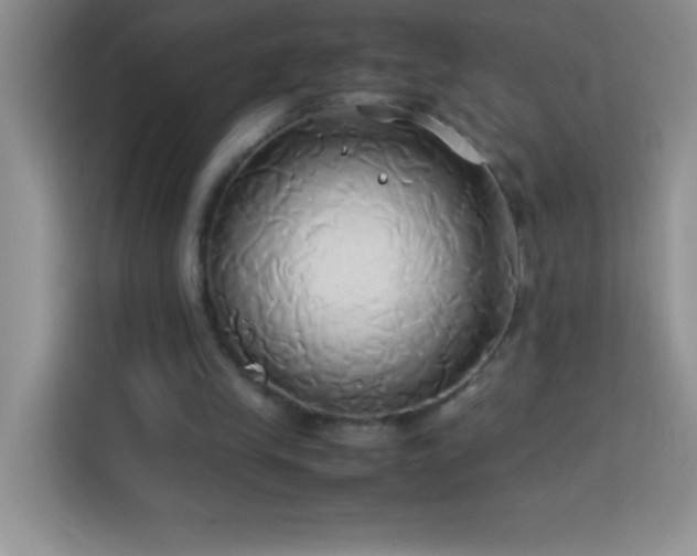 X0000114150245200910081338