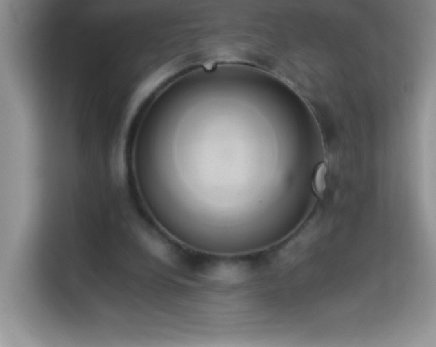 X0000114150248200910081338