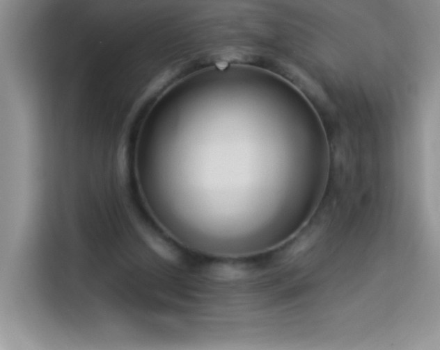 X0000114150250200910081338