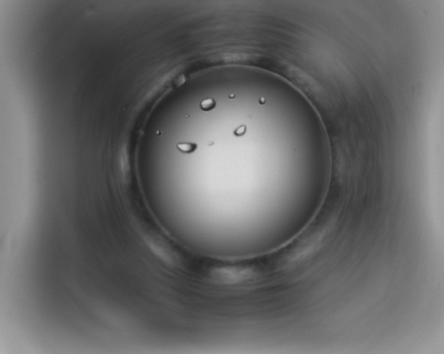 X0000114150251200910081338