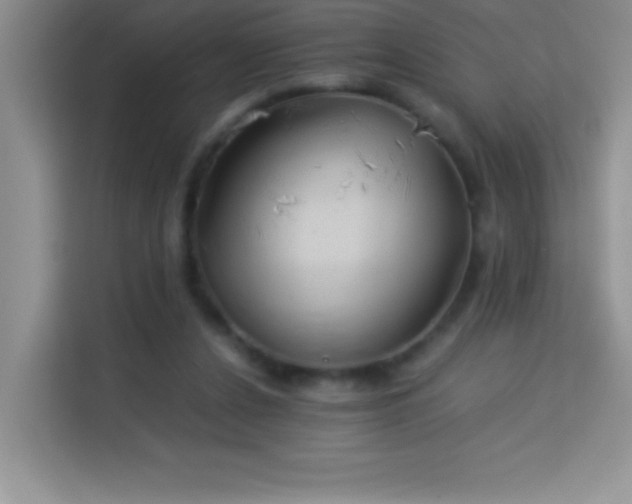 X0000114150256200910081339