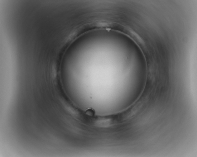 X0000114150257200910081339