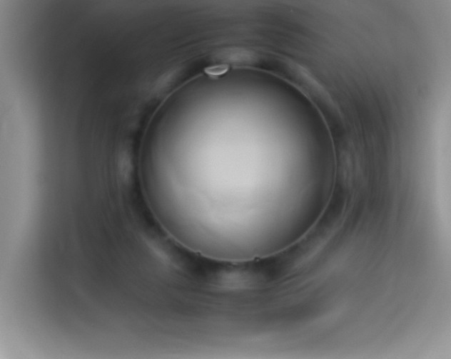 X0000114150259200910081339