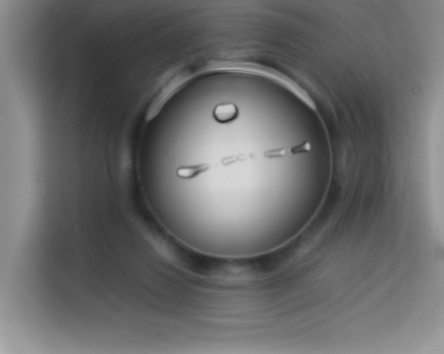 X0000114150260200910081339