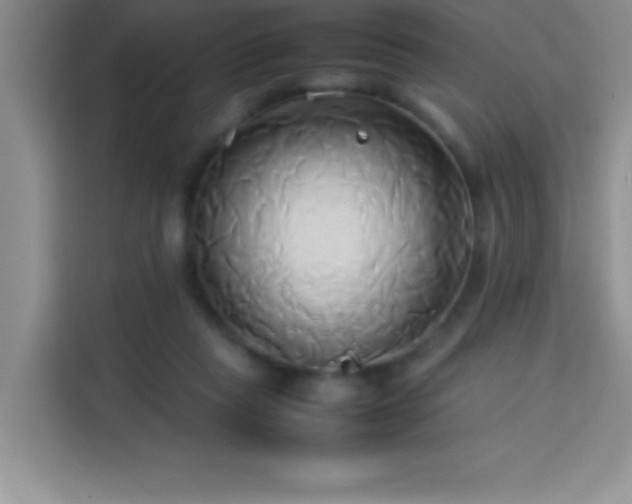X0000114150261200910081339