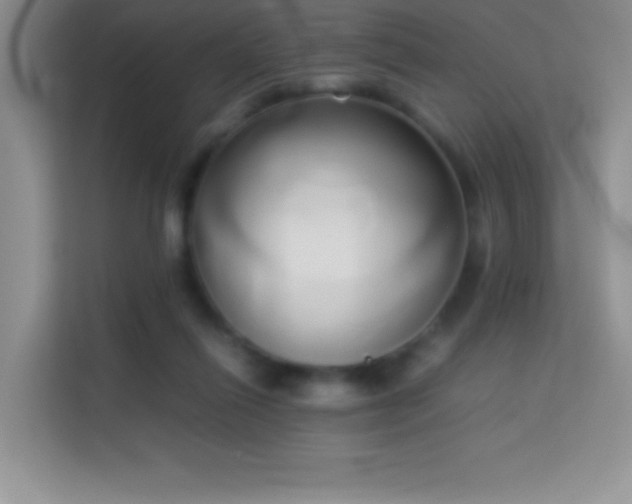 X0000114150262200910081339