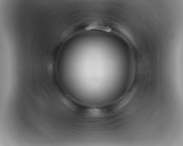 X0000114150265200910081339