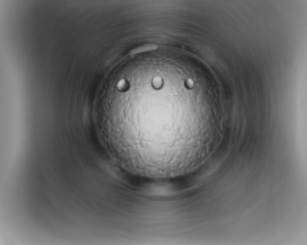 X0000114150266200910081339