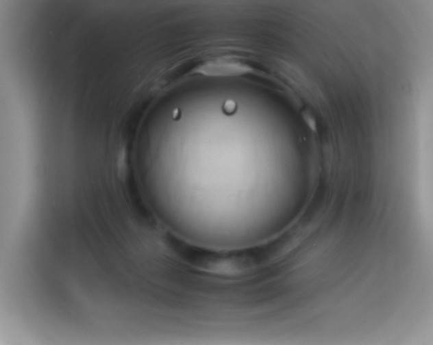 X0000114150267200910081339