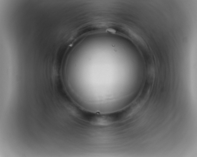 X0000114150268200910081339