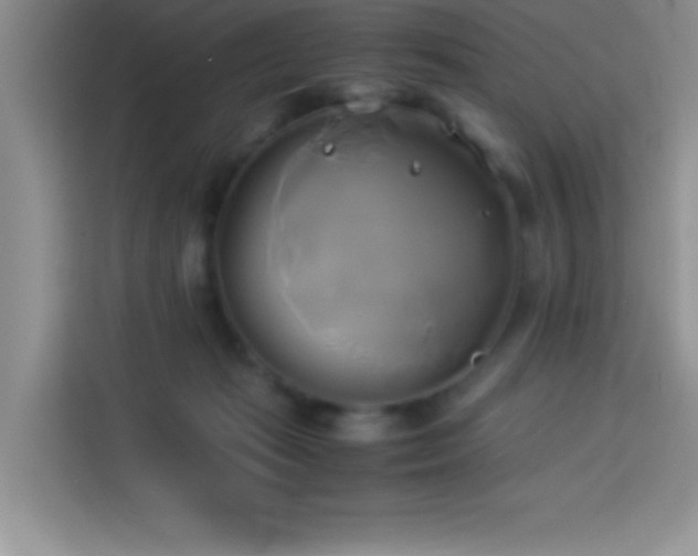 X0000114150269200910081339