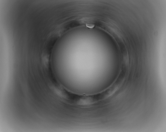 X0000114150271200910081339