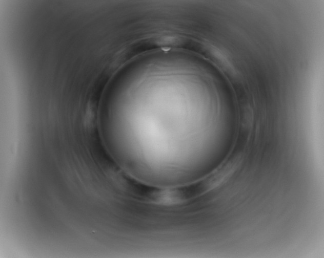 X0000114150273200910081339