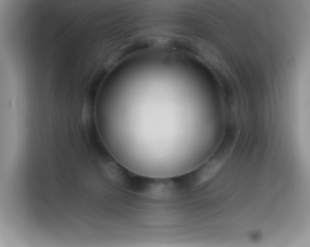 X0000114150274200910081339