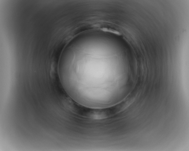 X0000114150275200910081339