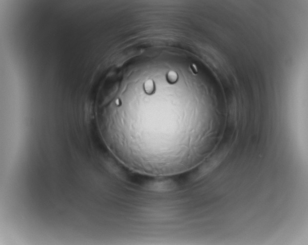 X0000114150278200910081339