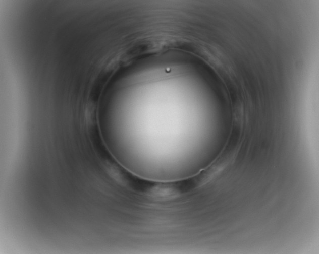 X0000114150280200910081339