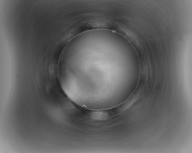 X0000114150281200910081339