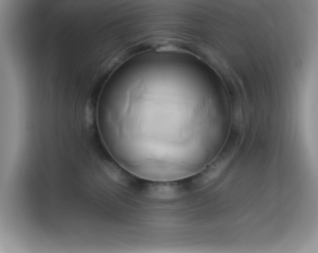 X0000114150282200910081339