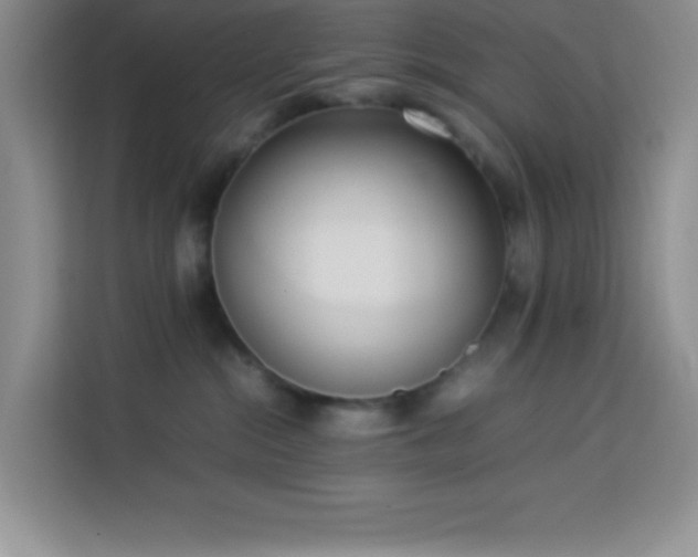 X0000114150284200910081339