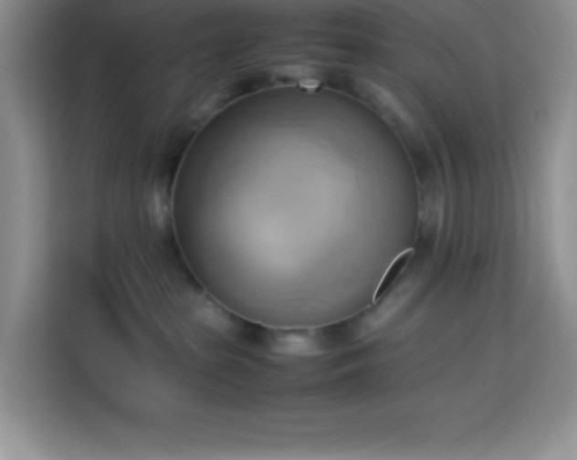 X0000114150285200910081339