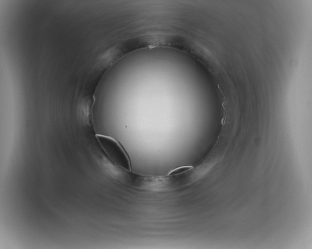 X0000114150288200910081339