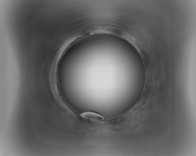 X0000114150289200910081338