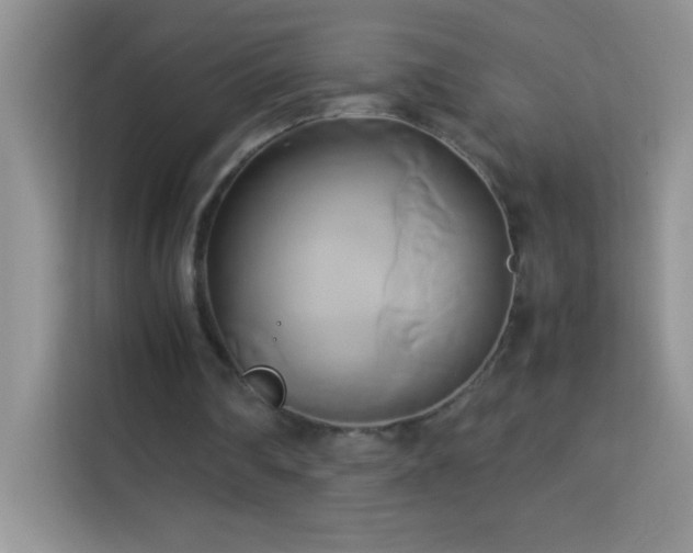 X0000114150290200910081338